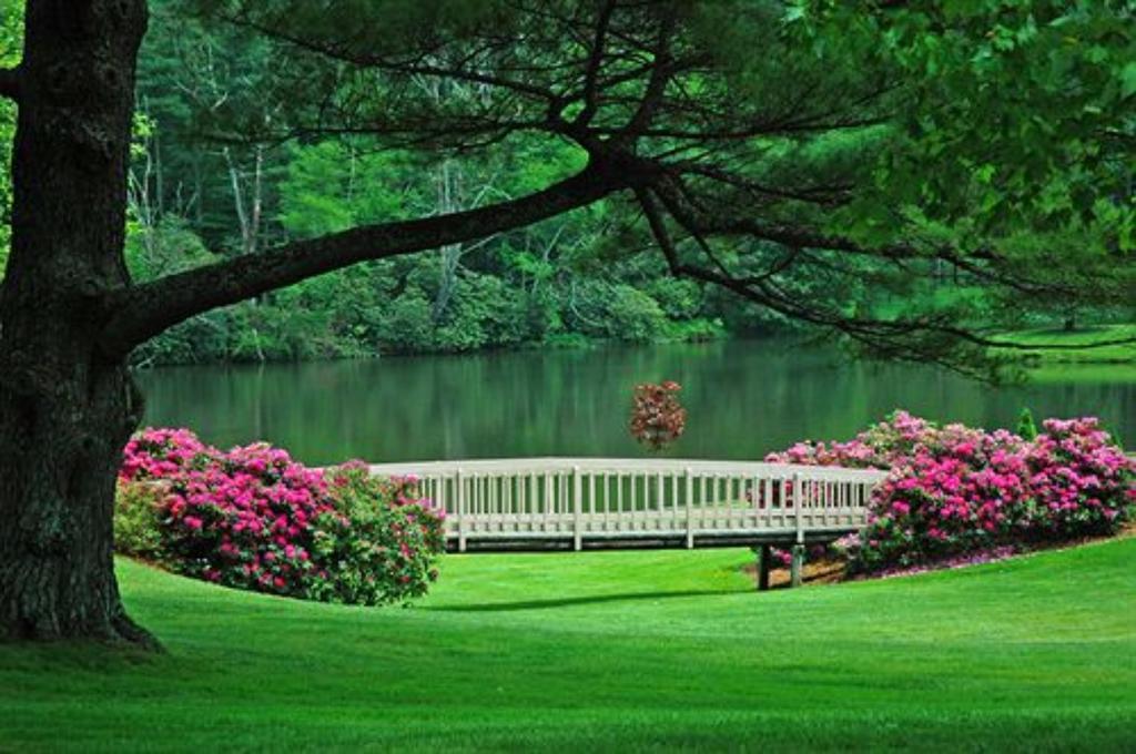 Chetola Resort At Blowing Rock Dış mekan fotoğraf